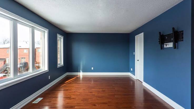 Painting Services work